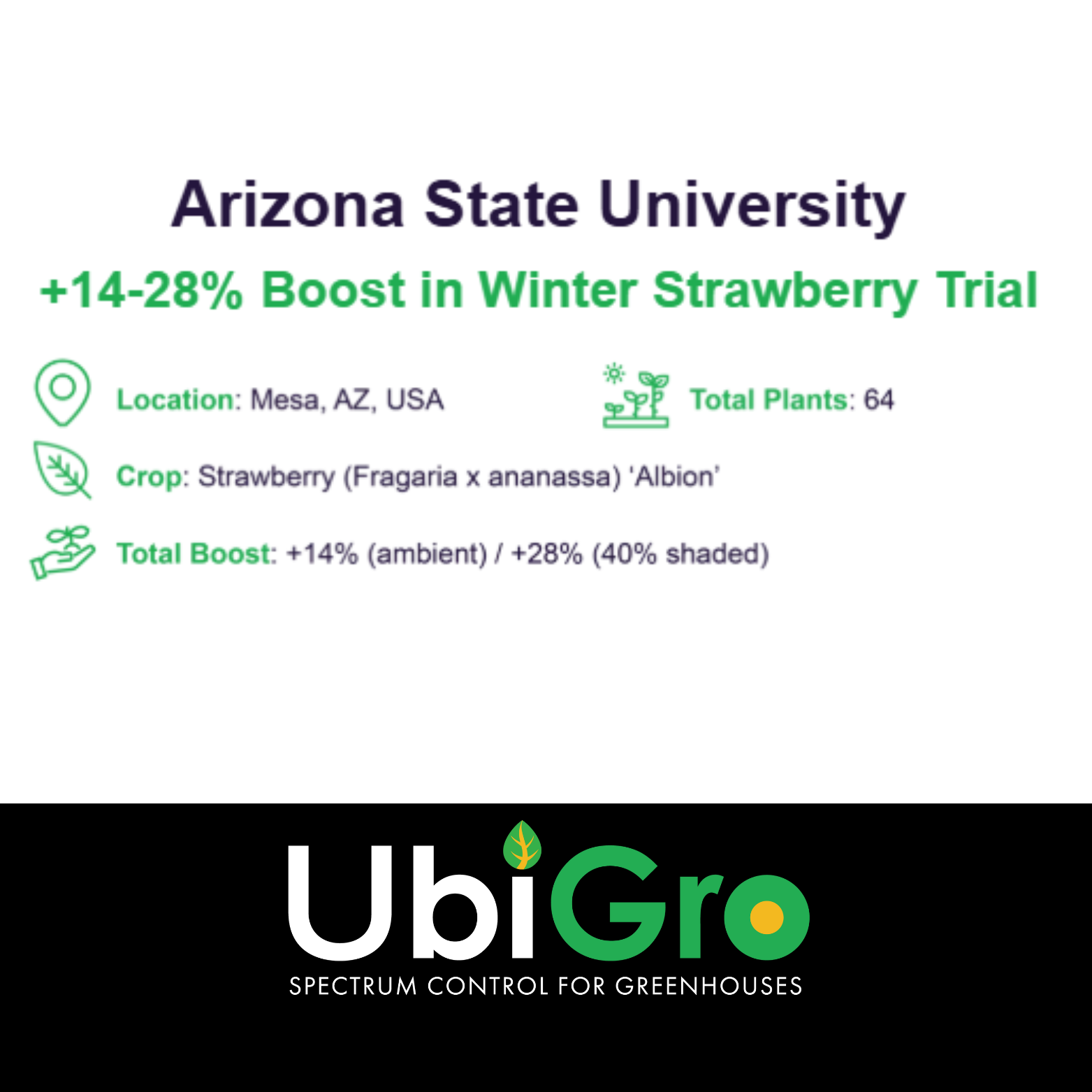 UbiGro Inner Custom - Botanygro LLC
